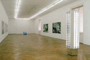 Installationsansicht (installationview) „alphavillle/zero2“ - Galerie Grita Insam, Wien 2002